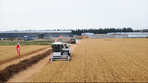 9a46847e08a241aca29dabcc8b4361fe