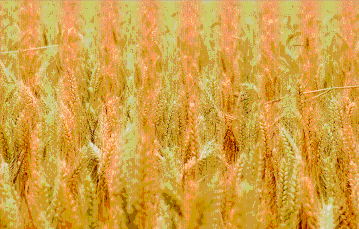 71911fcf7bcf44bd8dceac45556b6823