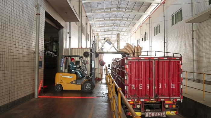 47c5a09856e74899b5efdf8e5559ef9a