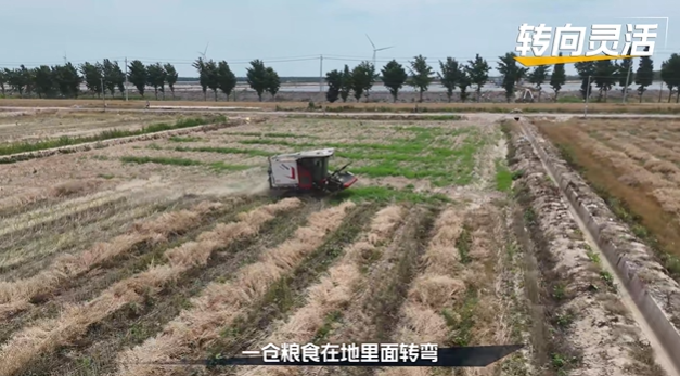 23fa1f688dfd448dae1db0c59fa05729