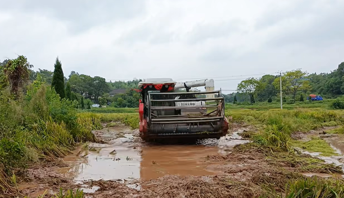 0aee98dbec7d4eefb5225613a57fee72