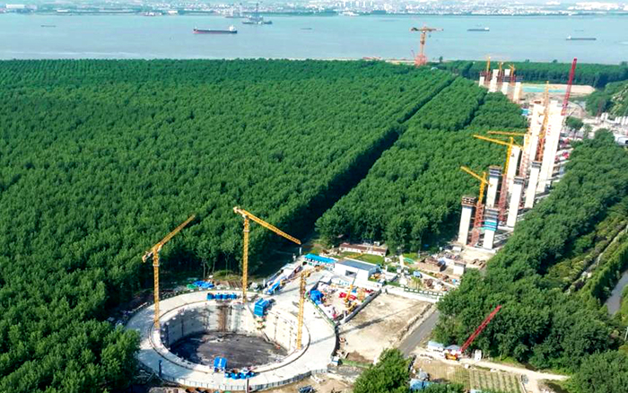 9c285bb5a5b74904a89912689c2b700b