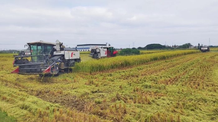 6306ecf608c74664812ce4958e122aa9