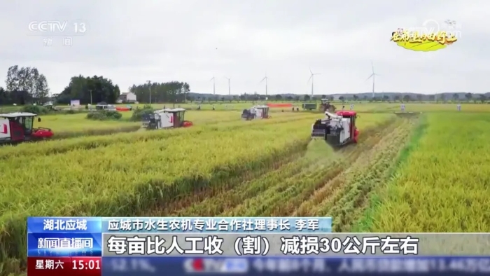 96007c736c014bf08bbd2a2823d1aff5